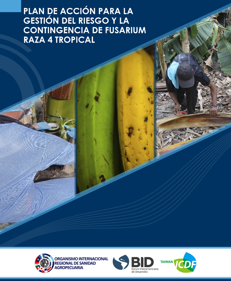 Empresa Tecnológica